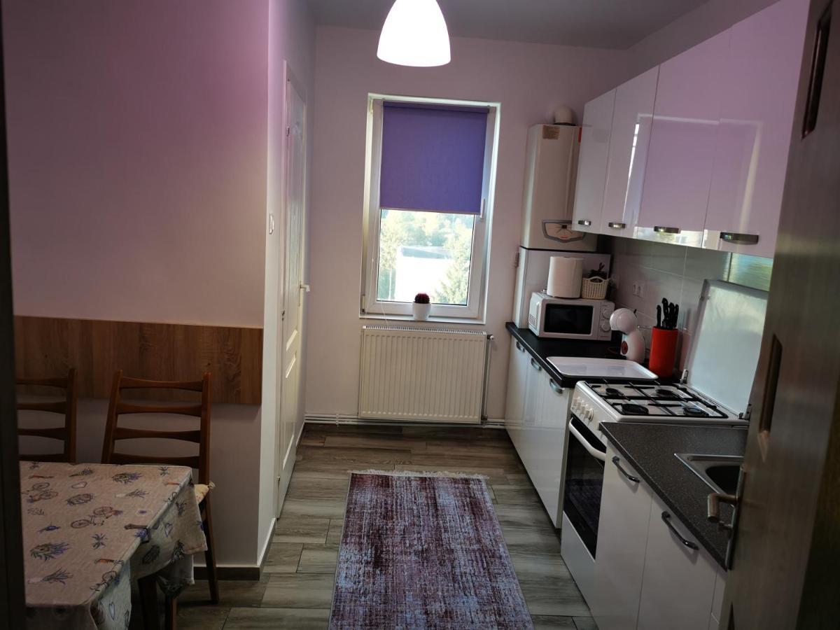 Târgu-Mureş Violet Residence מראה חיצוני תמונה